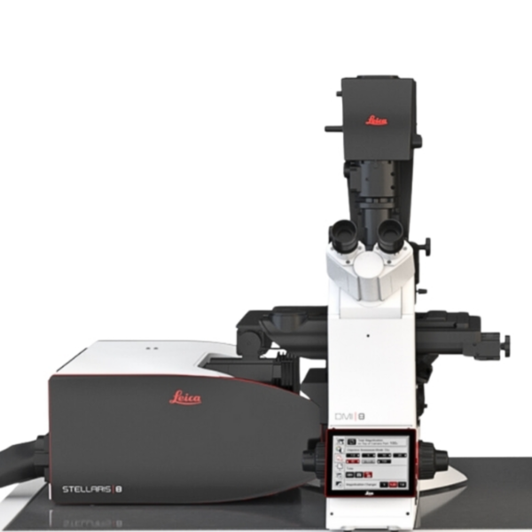 Leica - Stellaris Confocal Microscopes Platforms