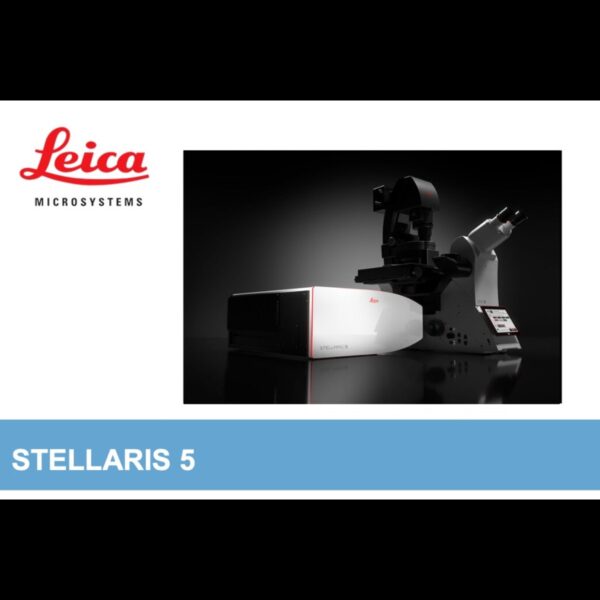 Image_TEC_INS_Leica_ConfocalMicroscopesen_16_1000x665_JPG1-1.jpeg Image_TEC_INS_Leica_ConfocalMicroscopesen_16_1000x665_JPG1-1.jpeg